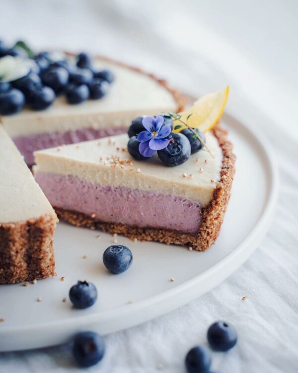 Blueberry Cheese Cake