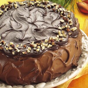 Chocolate Net Cake